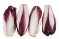 Bicolour endives close-up on white background Royalty Free Stock Photo