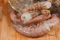 Close up of Fresh, raw oyster and pink shrimp Royalty Free Stock Photo