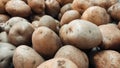 Close up of fresh raw potatoes in a market Royalty Free Stock Photo