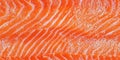 Close-up of fresh raw salmon fish texture with bright orange color and natural pattern Royalty Free Stock Photo