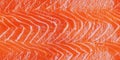 Close-up of fresh raw salmon fish texture with bright orange color and natural pattern Royalty Free Stock Photo