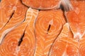 Close-up fresh raw salmon steaks background. Fish fillet at market counter. Healthy food Royalty Free Stock Photo