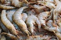 Close up of Fresh raw shrimp frozen on the ice, thai street food market Royalty Free Stock Photo