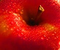 Close up of a fresh red apple