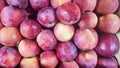 close up of fresh red apples Royalty Free Stock Photo