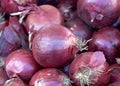 close up on fresh red onions piled up for sale at farmers market Royalty Free Stock Photo