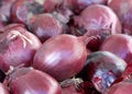 close up on fresh red onions piled up for sale at farmers market Royalty Free Stock Photo