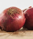 Close-up of fresh red onions Royalty Free Stock Photo