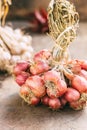 Close-up of fresh red onions Royalty Free Stock Photo