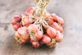 Close-up of fresh red onions Royalty Free Stock Photo