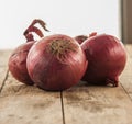 Close-up of fresh red onions Royalty Free Stock Photo