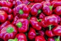 Fresh red peppers in market stall Royalty Free Stock Photo