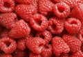 Close-up of fresh red raspberries Royalty Free Stock Photo