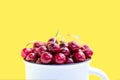 Close-up of fresh red ripe cherry with sprigs and leaves in a blue mug, front view. Sweet tasty fruits with water droplets Royalty Free Stock Photo