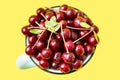 Close-up of fresh red ripe cherry with sprigs and leaves in a rustic mug, top view on yellow background. Sweet summer fruits Royalty Free Stock Photo