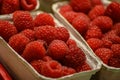 Close-up of fresh red ripe raspberry berries in organic container boxes on the table of farmers market Royalty Free Stock Photo