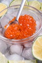 Close up fresh red salmon caviar with spoon and lime around ice. macro shot. Protein luxury delicacy healthy food