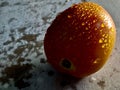 Close up of fresh red tomato with drops of water on rustic background, Food Photography Royalty Free Stock Photo