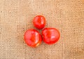 Close up Fresh red tomato on grunged sack background