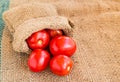 Close up Fresh red tomato on grunged sack background