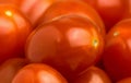 Close up of fresh red tomatoes