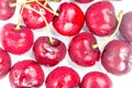 Close up fresh and refrigerated cherries and water drops on whit Royalty Free Stock Photo