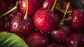 Fresh dew-covered cherries up close. vibrant and juicy fruit, perfect for healthy eating. delicious natural snack. AI