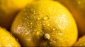 Close-up of fresh ripe lemon with water drops. AI-generated.