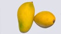 Close up of fresh ripe mangoes isolated on white background Royalty Free Stock Photo