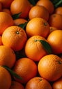 Close Up of Fresh Ripe Oranges with Green Leaves Royalty Free Stock Photo