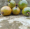 Close up of fresh and ripe passion fruit on stone Royalty Free Stock Photo