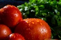 Close-up of fresh, ripe tomatoes, eggplant and parsley.Group of