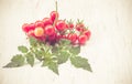 Close-up of fresh, ripe tomatoes on wood background Royalty Free Stock Photo