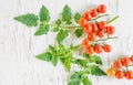 Close-up of fresh, ripe tomatoes on wood background Royalty Free Stock Photo