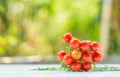 Close-up of fresh, ripe tomatoes on wood background Royalty Free Stock Photo