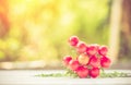 Close-up of fresh, ripe tomatoes on wood background Royalty Free Stock Photo