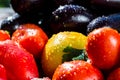 Close-up of fresh, ripe tomatoesand eggplant.Group of tomatoes a