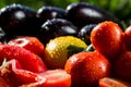 Close-up of fresh, ripe tomatoesand eggplant.Group of tomatoes a Royalty Free Stock Photo