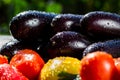 Close-up of fresh, ripe tomatoesand eggplant.Group of tomatoes a