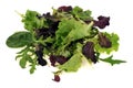 Mesclun salad leaves on a white background Royalty Free Stock Photo