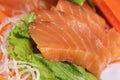 Close up Fresh Salmon sashimi Royalty Free Stock Photo