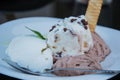 Close up of fresh scoops of ice cream with chocolate wafer rolls on a plate Royalty Free Stock Photo