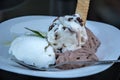 Close up of fresh scoops of ice cream with chocolate wafer rolls on a plate Royalty Free Stock Photo