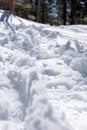 Close up of fresh snow shoe tracks Royalty Free Stock Photo