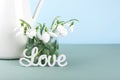 Close up fresh snowdrops in a glass vase and letter love