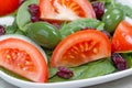 Close up of Fresh Spinach Salad on White Plate Royalty Free Stock Photo