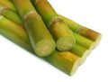 Close up of fresh sugar cane