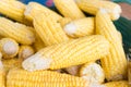 Close up, Fresh sweet corn cobs at a farmers market Royalty Free Stock Photo