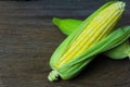 Close up fresh sweet corn cobs with leaves on wood table background Royalty Free Stock Photo