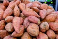 Close up fresh sweet potato with root at farmer market as a food background. Organic, healthy, vegetarian diet food concept. Selec Royalty Free Stock Photo